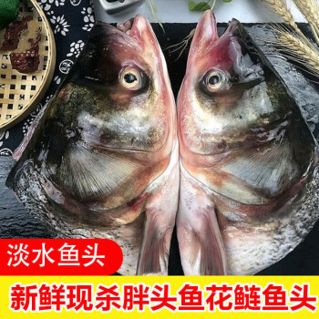 宏嘉睿生鮮魚類剁椒魚頭食材新鮮鰱魚頭大白鰱魚胖頭草鰱花鱅魚鰱魚頭