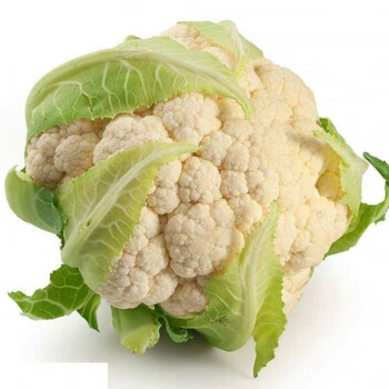 5斤现新鲜花菜椰菜松花菜球白菜花散花蔬菜批发1斤 5斤装