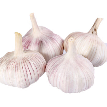 山东大蒜 紫皮大蒜 3斤装山东金乡干蒜 大蒜头 新鲜蔬菜 箱装 2023年