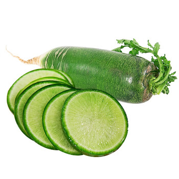 采缇沙窝萝卜 天津特产现拔脆甜水果萝卜生吃小沙沃青萝卜 新鲜蔬菜 5