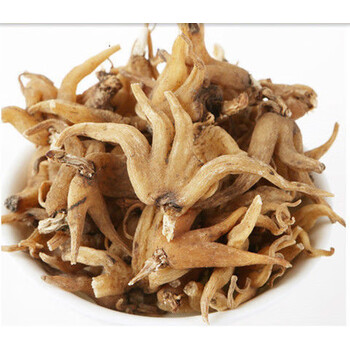 西藏特产手掌参 西藏精选佛手参正宗手参人参 100克