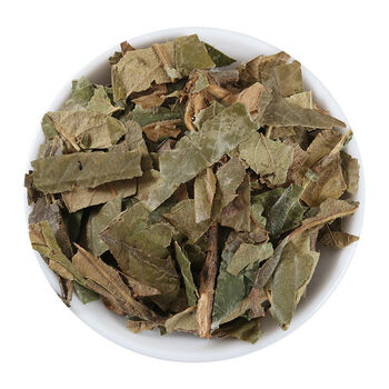 枇杷叶枇杷叶干琵琶叶枇杷叶子干货炙枇杷叶500克优惠装