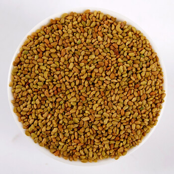 时茂进口紫花苜蓿草种子多年生四季牧草种子苜蓿菜鸡鸭鹅牛羊鱼草种籽