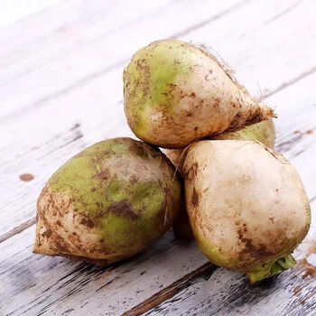 新鲜芥菜头3-10斤装疙瘩咸菜辣菜大头苤蓝菜应季蔬菜现挖 带箱3斤装