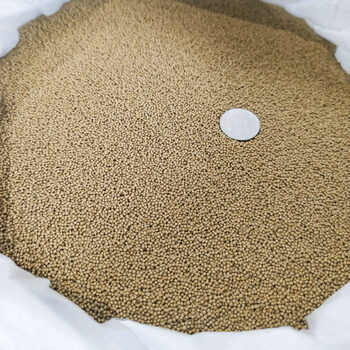 2023新款泡泡球通威猾鱼浮水颗粒黄金豆鱼饲料鲤鲫草钓饵窝料养殖 1.