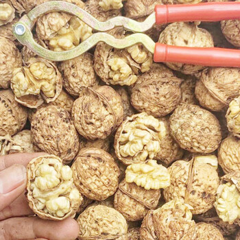 孕妇零食带壳生的云南纸皮核桃新货薄壳精选薄皮大果带箱10斤一斤4045