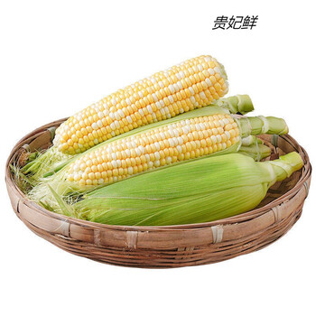 贵妃鲜云南金银水果玉米爆浆香甜现摘生熟两吃9斤宝宝非转基因 7.