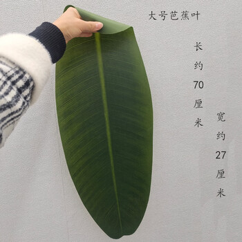 仿真荷叶餐厅菜肴装饰摆盘绿色叶子塑料芭蕉叶水果树叶垫道具荷花
