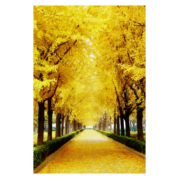 京佐(jingzuo)金元宝黄金满地走廊过道进门处自粘壁画墙贴画黄金大道