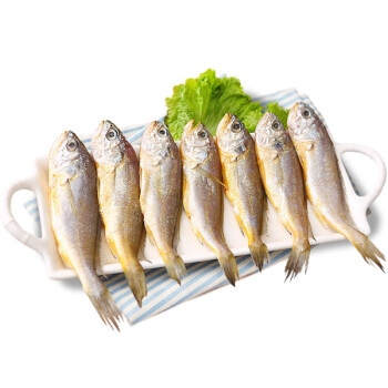 新鲜活冻渤海湾小黄花鱼500g袋装 约11条 烧烤油炸清蒸食材