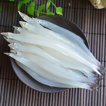 新鲜大银鱼银鱼冷冻小银鱼白饭鱼面条鱼 大银鱼250g/盒 二盒