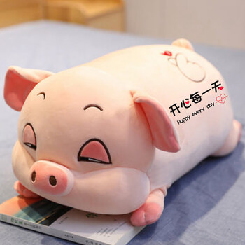礼物空调抱枕毛毯儿童礼物男女抱枕y212粉色猪款开心50厘米带空调毯