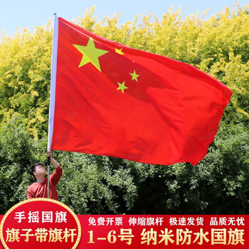 言溯 党旗国庆节大号标准五星红旗带杆123456号纳米防水加厚户外红旗