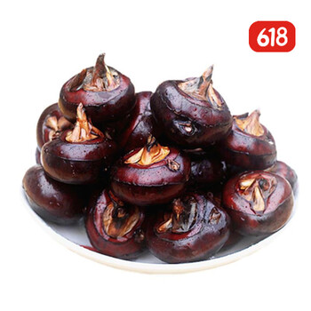 湖北团风马蹄荸荠新鲜5斤即食马蹄 1斤中果试吃