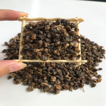 龙葵子中药材批发正宗野生龙葵果天茄子批发价龙葵果新鲜颗粒 龙葵子