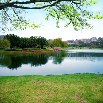 高清室内可移动网红男女直播间主播装饰快手背景墙外景山水风景3d背景