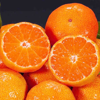 广西砂糖橘 正宗新鲜沙糖桔橘子水果当季整箱无籽纯超甜 3斤【精选装