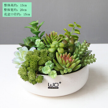 Wo 仿真肉肉植物多肉莲花电视柜摆件绿色植物办公室装饰小物摆设多肉植物盆景 米子果款 图片价格品牌报价 京东
