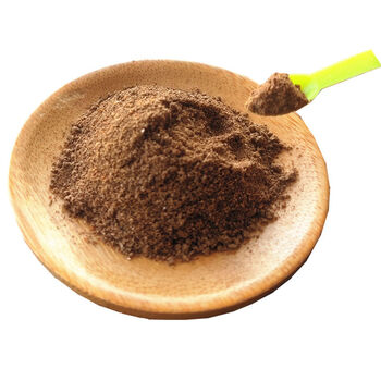 神龟酸梅粉80后零食沾水果儿时记忆童年小时候经典90后怀旧小卖部神龟