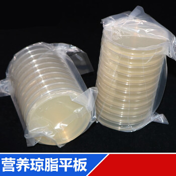 营养琼脂平板血平板 tsa r2a一次性带培养基培养皿lb琼脂平皿 血平板