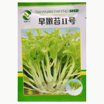 民汇园白菜苔种子早嫩苔二号菜心菜薹菜苔早熟耐热耐寒耐湿可连续采收侧苔到次年3月10克 袋 图片价格品牌报价 京东