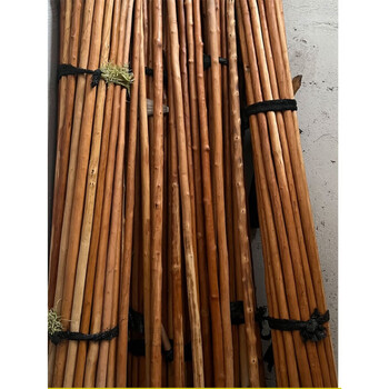 鞭杆西北鞭杆 野生红栒子棍 产地甘肃五尺棍杆拧纹栒子牛筋棍防身棍