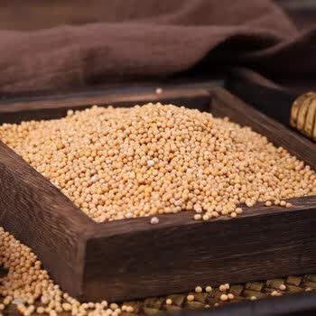 北京同仁堂原料白芥子 白芥子中药材 白芥子 生白芥子 白芥籽白芥末子