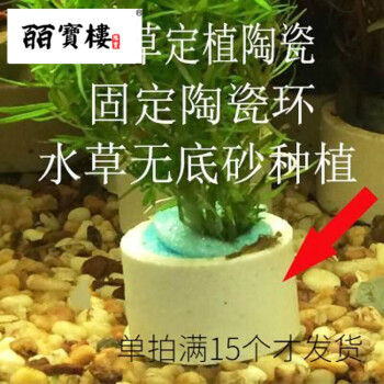 水草活体水族箱鱼缸装饰造景淡水植物有茎类易养中后景真懒人水草水草固定陶瓷环 图片价格品牌报价 京东