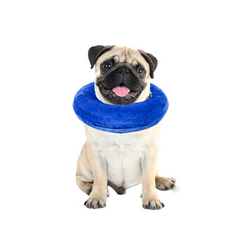 智汇 狗脖套 狗狗项圈防抓舔咬保暖猫狗头套头罩猫狗用品 蓝色 s-22x