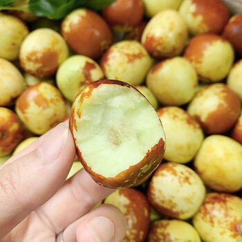 陕西冬枣新鲜水果当季大荔枣子红枣脆甜鲜枣当季时令水果精选5斤