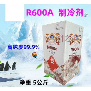 惠利得(huilide)定制r600a冰箱冰柜冷媒雪种金莱尔氟利昂净重5kg 冰龙