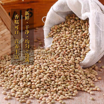 土耳其红扁豆1斤/5斤 新货番茄红扁豆  小扁豆 五谷杂粮 小扁豆【3斤