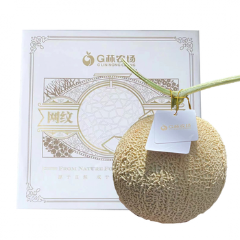 g林农场静冈网纹瓜日本玫珑瓜冰淇淋蜜瓜 2颗4斤 网纹蜜瓜普通包装