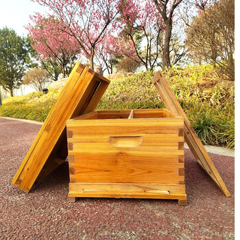 中蜂蜂箱标准十框杉木煮蜡蜂箱全套养蜂工具蜜蜂箱土蜂桶带巢框 十框