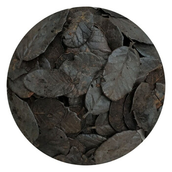 京纯(jingchun)刺栗叶栗树叶兰花花卉植料自然发酵高温 刺栗叶约6斤