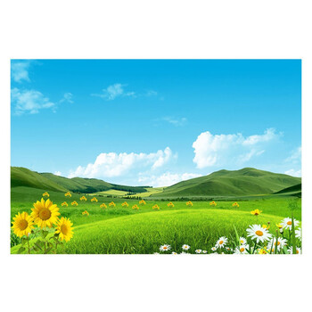 澳颜莱蓝天白云自然风景墙贴辽阔的草原壁画草地向日葵装饰画卧室