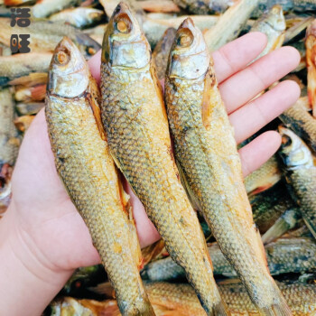 煙燻東江魚乾500g紅眼魚小青魚湖南特產小乾魚火焙魚臘魚大小可選