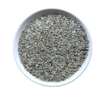 生菜籽中药材500g生菜子莴苣子白巨胜子搭配黄瓜籽