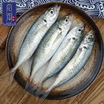 尚淘 东山岛新鲜巴浪鱼 竹荚鱼巴浪鱼1kg 海鲜水产 养殖1kg