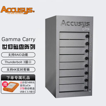 ACCUSYS  Gamma Carry ׵32 8λй洢ϵͳƵ4KƵ Gamma Carry ׵31