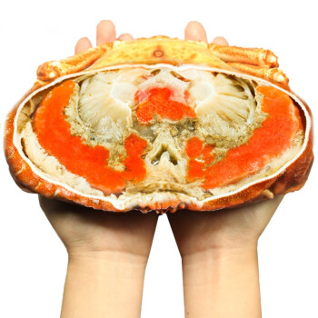 珍鲟味生鲜 超大冷冻面包蟹 英国鲜活熟冻面包蟹 年货海鲜 大螃蟹 1只(800g-1000g/只)熟冻面包蟹