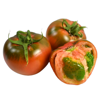 正宗大连草莓柿子铁皮水果生吃西红柿新鲜自然熟应季农家番茄2斤试吃