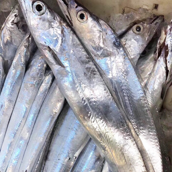 亚又婧东海小眼睛油带鱼大钓带舟山海鲜整条冰鲜非冷冻3斤装净重46两