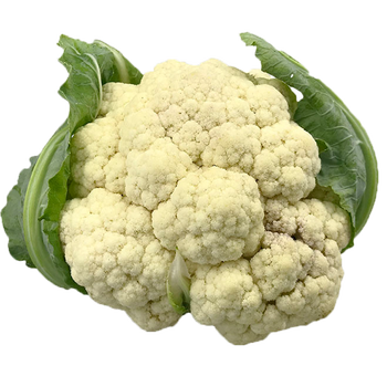 发货中 花菜西蓝花菜花花椰菜白花菜新鲜蔬菜5斤 图片价格品牌报价 京东 发货中 花菜西蓝花菜花花椰菜白花菜新鲜蔬菜5斤 图片价格品牌报价 京东