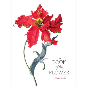 The Book of the Flower花之书:艺术之花 花卉插画绘画英文原版图书籍正版进口 mobi格式下载