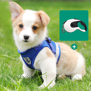 搭啵兔背心式狗狗牵引绳小型犬胸背带泰迪柯基小狗幼犬狗链子遛狗绳胸