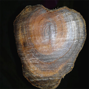 广西千年土沉香(开云沉香)(薄荷药香味)原木料可做佛珠把玩件 开云