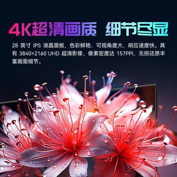 泰坦军团28英寸 4K 144Hz 电竞屏 内置音箱 Type-C65W快充 广色域 硬件低蓝光 KVM 升降电脑显示器 P275H2V