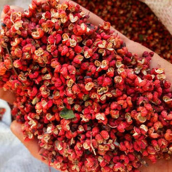 大红袍花椒 陕西韩城 精选特级大红袍红花椒 大红袍花椒特级50g 花椒