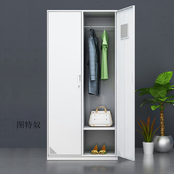 铁皮衣柜家用小衣柜单人铁艺衣柜挂衣柜钢制宿舍2二门双门换衣铁皮